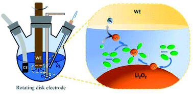 Graphical abstract: Rotating-disk electrode analysis of the oxidation behavior of dissolved Li2O2 in Li–O2 batteries
