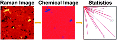 Graphical abstract: Quantitative analysis of the distribution and mixing of cellulose nanocrystals in thermoplastic composites using Raman chemical imaging