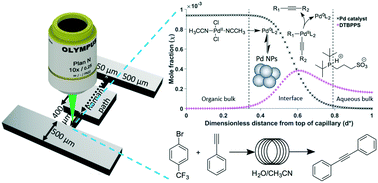 Graphical abstract: Catalytic activity of Pd/hydrophilic phosphine ligand in the interface of an aqueous-phase Cu-free Sonogashira coupling