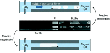 Graphical abstract: Bubble formation in catalyst pores; curse or blessing?