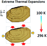 Graphical abstract: Experimental and theoretical evidence of a supercritical-like transition in an organic semiconductor presenting colossal uniaxial negative thermal expansion