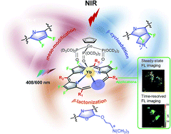 Graphical abstract: Highly luminescent, biocompatible ytterbium(iii) complexes as near-infrared fluorophores for living cell imaging