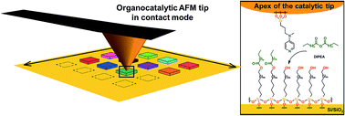 Graphical abstract: Spatially resolved acyl transfer on surface by organo-catalytic scanning probe nanolithography (o-cSPL)