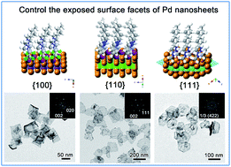 Graphical abstract: Ultrathin palladium nanosheets with selectively controlled surface facets