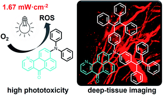 Graphical abstract: Red-emissive azabenzanthrone derivatives for photodynamic therapy irradiated with ultralow light power density and two-photon imaging