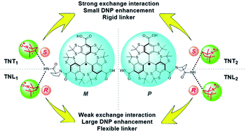 Graphical abstract: Diastereoisomers of l-proline-linked trityl-nitroxide biradicals: synthesis and effect of chiral configurations on exchange interactions