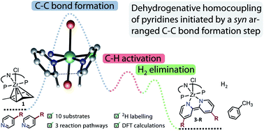Graphical abstract: Dehydrogenative coupling of 4-substituted pyridines mediated by a zirconium(ii) synthon: reaction pathways and dead ends