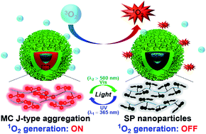 Graphical abstract: Spiropyran in nanoassemblies as a photosensitizer for photoswitchable ROS generation in living cells