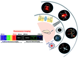 Graphical abstract: Recent advances in near-infrared II fluorophores for multifunctional biomedical imaging
