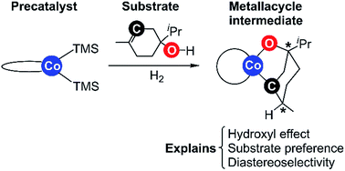 Graphical abstract: Cobalt-catalysed alkene hydrogenation: a metallacycle can explain the hydroxyl activating effect and the diastereoselectivity