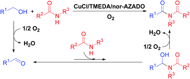 Graphical abstract: CuCl/TMEDA/nor-AZADO-catalyzed aerobic oxidative acylation of amides with alcohols to produce imides