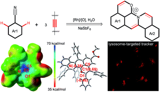 Graphical abstract: Annulation cascade of arylnitriles with alkynes to stable delocalized PAH carbocations via intramolecular rhodium migration