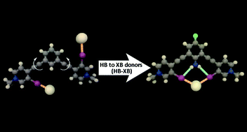 Graphical abstract: The intramolecular hydrogen bonded–halogen bond: a new strategy for preorganization and enhanced binding