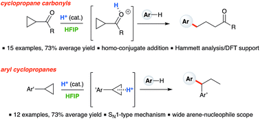 Graphical abstract: Ring-opening hydroarylation of monosubstituted cyclopropanes enabled by hexafluoroisopropanol
