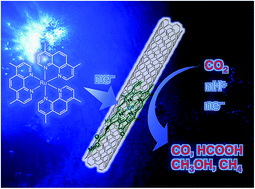 Graphical abstract: Mechanisms of catalytic reduction of CO2 with heme and nonheme metal complexes