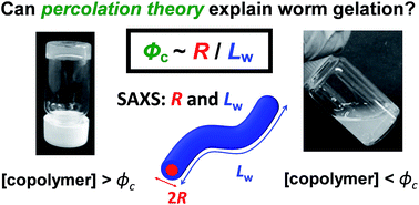 Graphical abstract: Can percolation theory explain the gelation behavior of diblock copolymer worms?