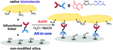 Graphical abstract: A one-step method for covalent bond immobilization of biomolecules on silica operated in aqueous solution