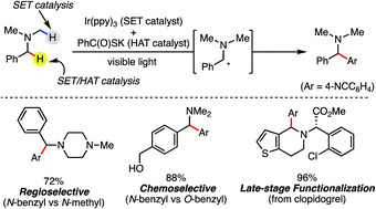 Graphical abstract: Regio- and chemoselective Csp3–H arylation of benzylamines by single electron transfer/hydrogen atom transfer synergistic catalysis