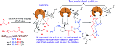 Graphical abstract: Two chiral catalysts in action: insights into cooperativity and stereoselectivity in proline and cinchona-thiourea dual organocatalysis