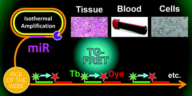 Graphical abstract: Advanced microRNA-based cancer diagnostics using amplified time-gated FRET