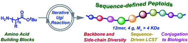 Graphical abstract: A versatile strategy for the synthesis of sequence-defined peptoids with side-chain and backbone diversity via amino acid building blocks