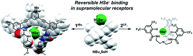 Graphical abstract: Expanding reversible chalcogenide binding: supramolecular receptors for the hydroselenide (HSe−) anion