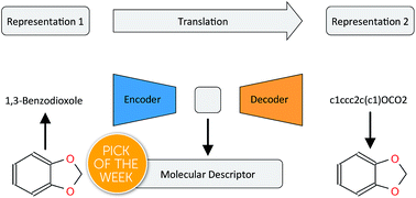 Graphical abstract: Learning continuous and data-driven molecular descriptors by translating equivalent chemical representations