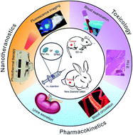 Graphical abstract: The biobehavior, biocompatibility and theranostic application of SPNS and Pd@Au nanoplates in rats and rabbits