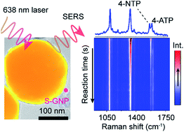 Graphical abstract: Direct SERS tracking of a chemical reaction at a single 13 nm gold nanoparticle