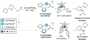 Graphical abstract: Selective C–C bond formation from rhodium-catalyzed C–H activation reaction of 2-arylpyridines with 3-aryl-2H-azirines