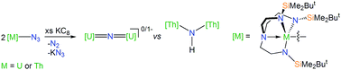 Graphical abstract: Thorium- and uranium-azide reductions: a transient dithorium-nitride versus isolable diuranium-nitrides