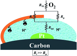 Graphical abstract: Tipping water balance and the Pt loading effect in polymer electrolyte fuel cells: a model-based analysis