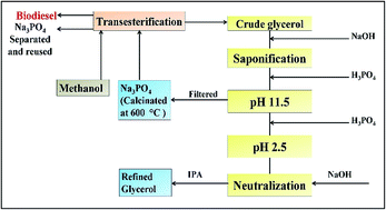 Graphical abstract: Sodium phosphate synthesis through glycerol purification and its utilization for biodiesel production from dairy scum oil to economize production cost