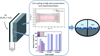 Graphical abstract: Water-tolerant lithium metal cycling in high lithium concentration phosphonium-based ionic liquid electrolytes