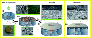 Graphical abstract: A surfactant-assisted strategy to tailor Li-ion charge transfer interfacial resistance for scalable all-solid-state Li batteries