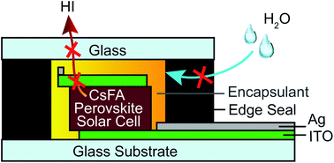 Graphical abstract: Encapsulating perovskite solar cells to withstand damp heat and thermal cycling