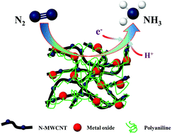 Graphical abstract: Preparation of metal oxide/polyaniline/N-MWCNT hybrid composite electrodes for electrocatalytic synthesis of ammonia at atmospheric pressure
