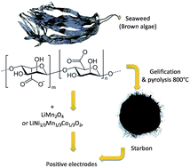 Graphical abstract: Green electrode processing using a seaweed-derived mesoporous carbon additive and binder for LiMn2O4 and LiNi1/3Mn1/3Co1/3O2 lithium ion battery electrodes