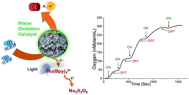 Graphical abstract: Light-induced water oxidation by polymorphs of the Zn–Co–Ni oxide spinel catalyst: a comparative study