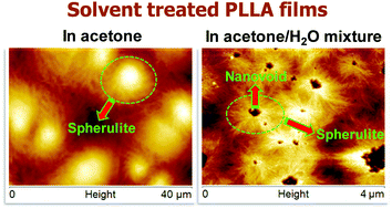 Graphical abstract: Nonsolvent-induced morphological changes and nanoporosity in poly(l-lactide) films