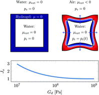 Graphical abstract: Driving water cavitation in a hydrogel cavity