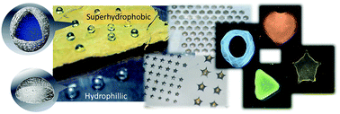 Graphical abstract: Free-standing three-dimensional hollow bacterial cellulose structures with controlled geometry via patterned superhydrophobic–hydrophilic surfaces