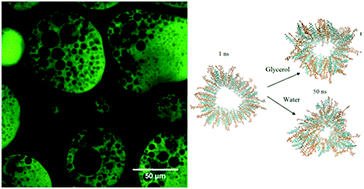 Graphical abstract: Stable emulsions of droplets in a solid edible organogel matrix