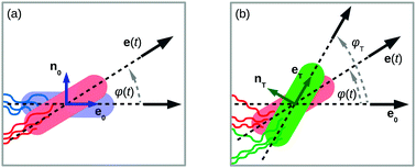 Graphical abstract: Langevin equations for the run-and-tumble of swimming bacteria