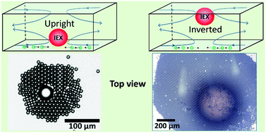 Graphical abstract: Seedless assembly of colloidal crystals by inverted micro-fluidic pumping