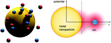 Graphical abstract: Ionic structure around polarizable metal nanoparticles in aqueous electrolytes