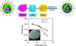 Graphical abstract: Mesoporous magnetic silica particles modified with stimuli-responsive P(NIPAM–DMA) valve for controlled loading and release of biologically active molecules
