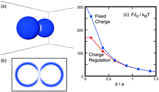 Graphical abstract: Hydrodynamic simulations of charge-regulation effects in colloidal suspensions