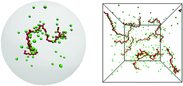 Graphical abstract: Osmotic pressure in polyelectrolyte solutions: cell-model and bulk simulations