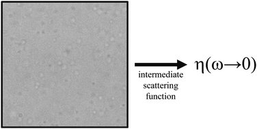 Graphical abstract: Microliter viscometry using a bright-field microscope: η-DDM